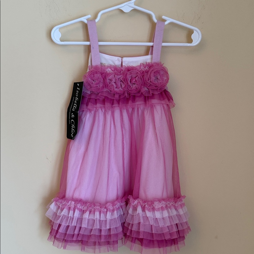 Isobella & Chloe‎ Baby Girls Pink Tulle Ruffle Tunic & Leggings Set Sz 24 Months